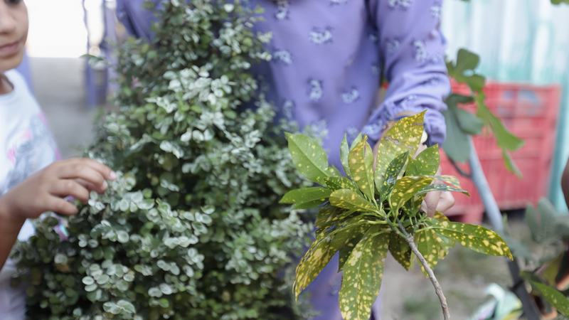 An adult and children hold leafy edible greens