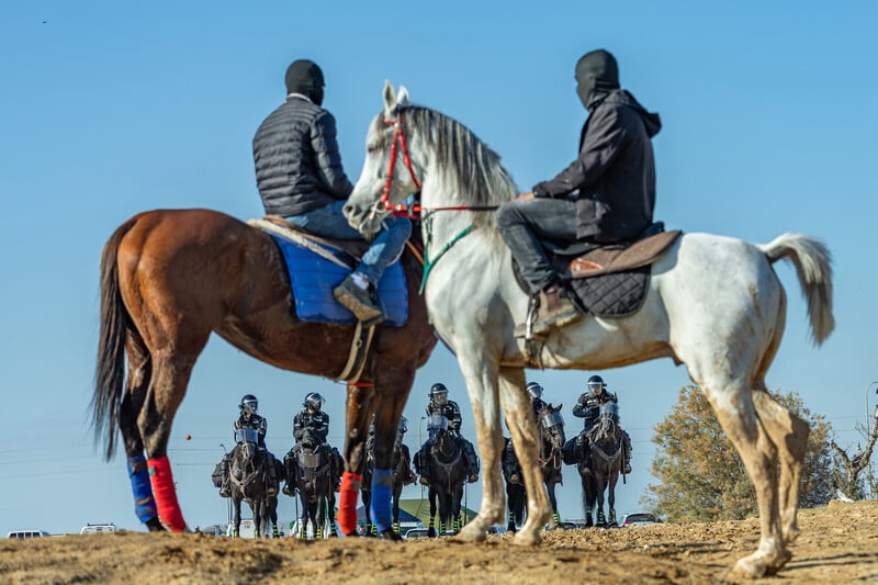 Palestine in Pictures: January 2026