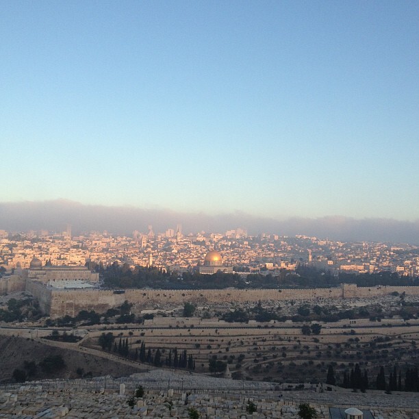 I've always been a #sunset enthusiast but #sunrise is a whole new experience by itself - first morning rays of sun hit the quds - saba7 el hurriya #ramadan #jerusalem #palestine I've always been a #sunset enthusiast but #sunrise is a whole new experience by itself - first morning rays of sun hit the quds - saba7 el hurriya #ramadan #jerusalem #palestine on Instagram