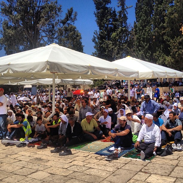 Thousands upon thousands at #aqsa today - some in shade others in sun #ramadan #jerusalem #palestine on Instagram