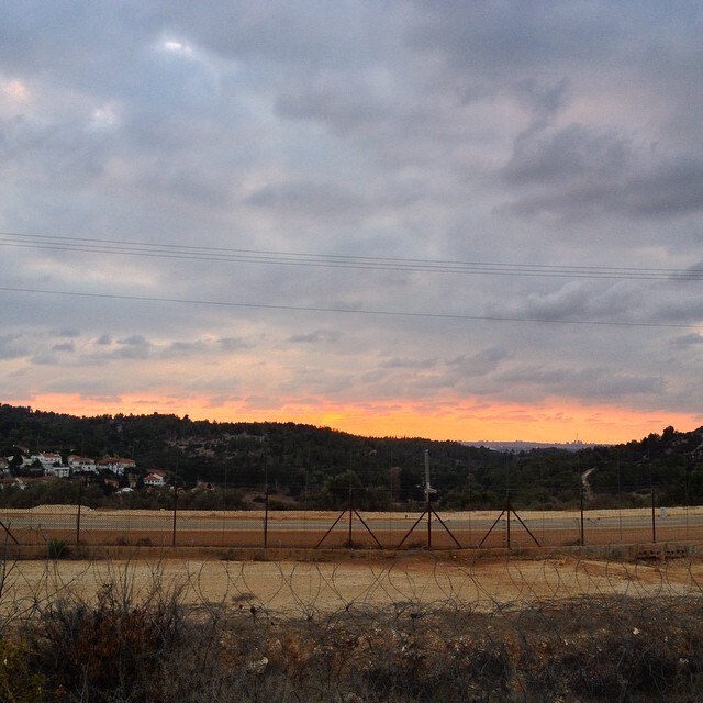 #3zbetSalman lost much of its land to the wall (pictured) and the Israeli colony of Oranit. The wall in this section is an electrified double fence. A significant proportion of the village's population sneaks across regularly to seek work, proving how ineffective this wall really is and that its main purpose is a landgrab. The village still maintains close ties with the Palestinian villages of Jaljulya, Kafr Qassem and Kafr Bara, in the 48 areas (now Israel) where extended branches of their families live #palestine #3zbetSalman lost much of its land to the wall (pictured) and the Israeli colony of Oranit. The wall in this section is an electrified double fence. A significant proportion of the village's population sneaks across regularly to seek work, proving how ineffective this wall really is and that its main purpose is a landgrab. The village still maintains close ties with the Palestinian villages of Jaljulya, Kafr Qassem and Kafr Bara, in the 48 areas (now Israel) where extended branches of their families live #palestine on Instagram