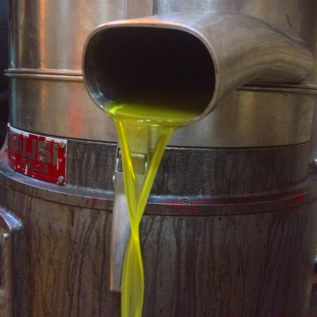 Freshly pressed olive oil for breakfast this morning: saba7 el zaytoun #beitJala #palestine on Instagram