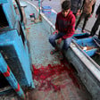 Man sits on edge of ship near pool of blood