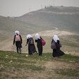 Four students walking on a hill with their backpacks. 