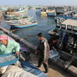 Man carries bin of fish in harbor next to moored boats