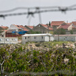 Landscape view of settlement homes with barbed wire in foreground