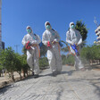 Three men in hazmat suits carrying spraying equipment