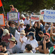 A crowd of protestors hold up the Palestinian flag and signs in Hebrew and English