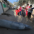 A group of young children in a street point at a large bomb lying on the ground