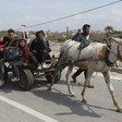 A white donkey pulls a cart with people in it, including young children