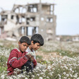 Two young boys pick flowers in a field. In the background is a destroyed house.