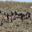 Children in a field near an Israeli flag