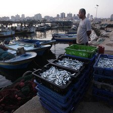 Mann standing at harbor next to boxes of fish looks toward sea 