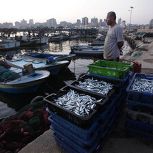 Mann standing at harbor next to boxes of fish looks toward sea