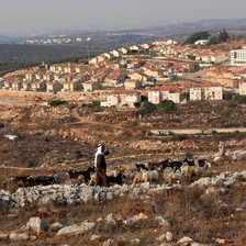 Herder walks with sheep in front of Israeli settlement