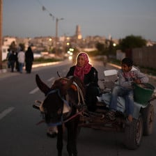 Woman and boy ride on cart pulled by donkey through a street as the sun sets