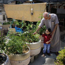 Photo shows man standing above small boy as they inspect a plant in a container made from recycled tires amid rooftop garden