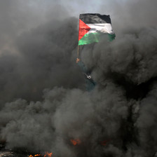 Flag of Palestine is seen held up by a protester clouded by thick smoke