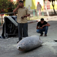 Two men - one standing, the other hunkered down - can be seen behind an unexploded missile.