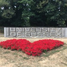A heart-shaped floral display appears before a sculpture bearing the words "University of Sussex."