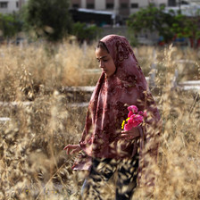 Woman wearing headscarf holds flowers in a wheat field
