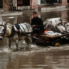 A young man drives a cart pulled by a mule through a flooded street