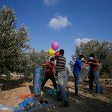 A group of men stand in a field of trees with a number of colorful balloons