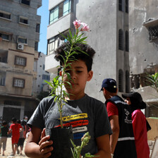 Boy holds a plant 