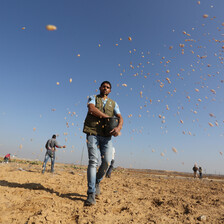 Man throws seeds in the air 