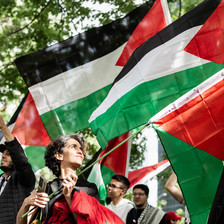 protestors carry Palestinian flags