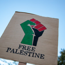 A sign at a protest reads free Palestine