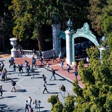 Students walk through a gate 