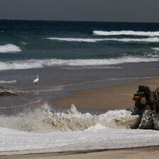 Sewage flows from a pipe into the Mediterranean from the Gaza Strip