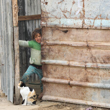 A Palestinian girl peeks out from a door of a metal building with a cat sitting at her feet. 