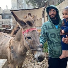 A Palestinian man in a hoodie and glasses holds his toddler-age daughter while also holding the reins of a donkey.