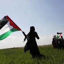 A woman, backlit, waves a Palestinian flag in a field of green