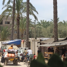 People leaving homes hurriedly in cars and on a bicycle 