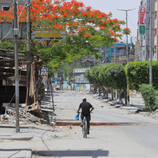 A man rides his bicycle alongside trees in Gaza