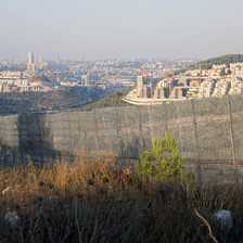 A barbed wire fence erected by Israel on occupied Palestinian land 