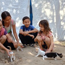 four children play with kittens