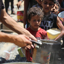A child waits in line for food