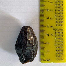 Overhead view of single date next to ruler showing its length to be four centimeters