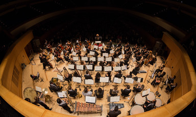 Aerial view of the Palestine Youth Orchestra on stage