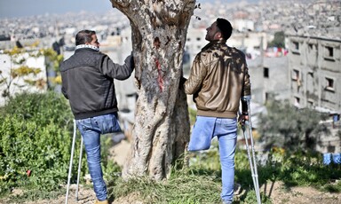 Two young men, each standing on one leg, next to tree on hill overlooking city