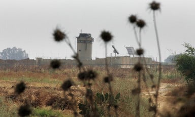 Photo shows wild plants in an empty field with militarized border wall and military watchtower in background
