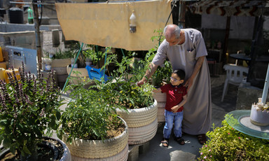Photo shows man standing above small boy as they inspect a plant in a container made from recycled tires amid rooftop garden