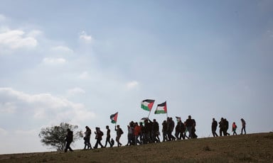 Protestors wave Palestinian flags in an open land 