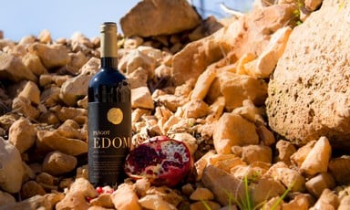 A wine bottle and a pomegranate are perched on some rocks