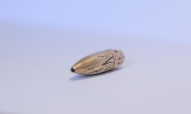 Unexploded bullet 