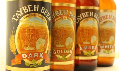 Bottles of beer in a row
